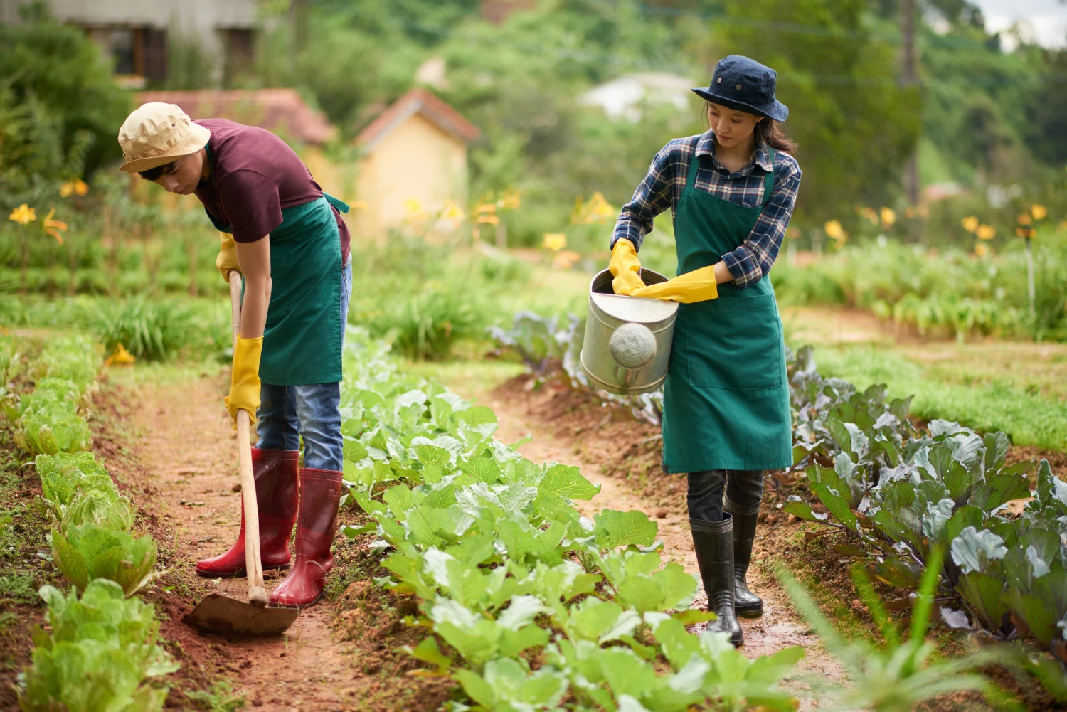 FARMERS